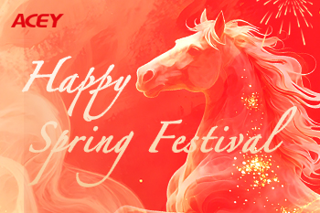 Chinese Spring Festival Holiday Notice!